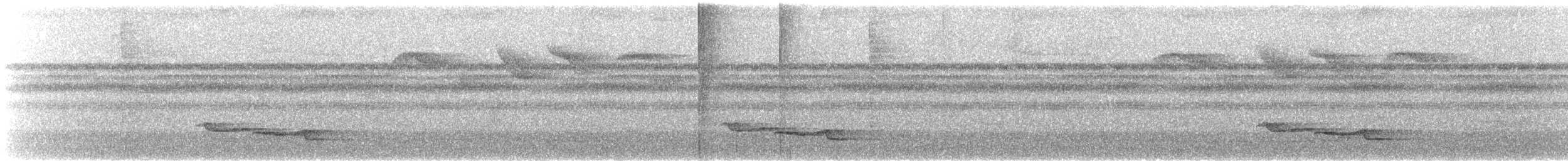 White-breasted Wood-Wren - ML624446159