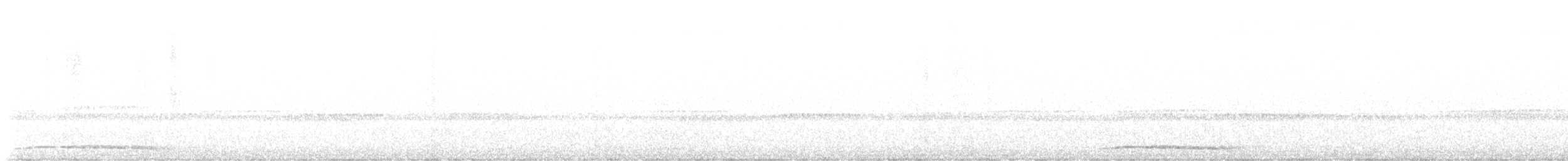 Eastern Screech-Owl - ML624446826