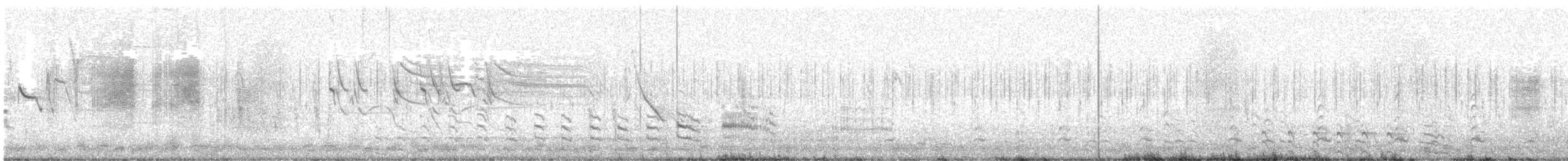 Common Gallinule - ML624450571