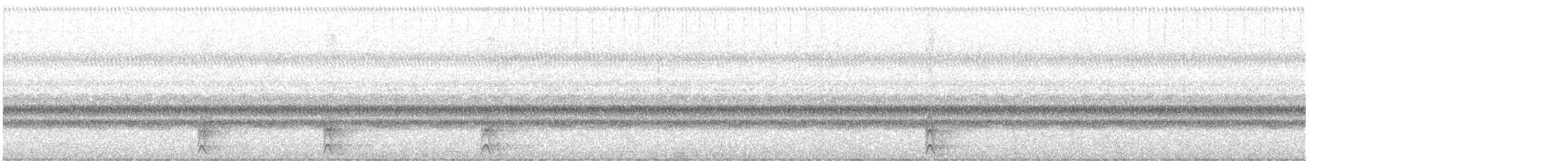 Elfenkauz - ML624451754