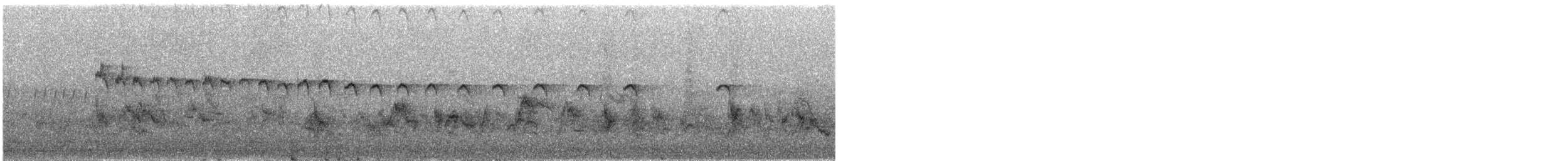Common Sandpiper - ML624462206