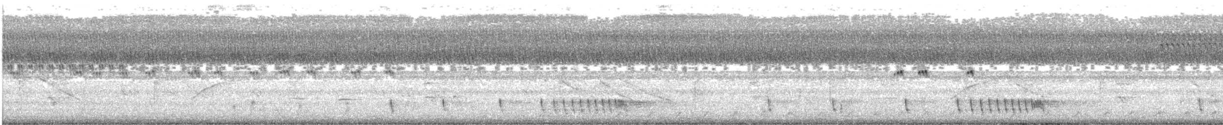 Indiennachtschwalbe - ML624463285