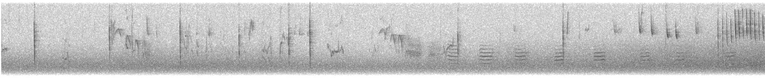 vinterjunko (mearnsi) - ML624474894