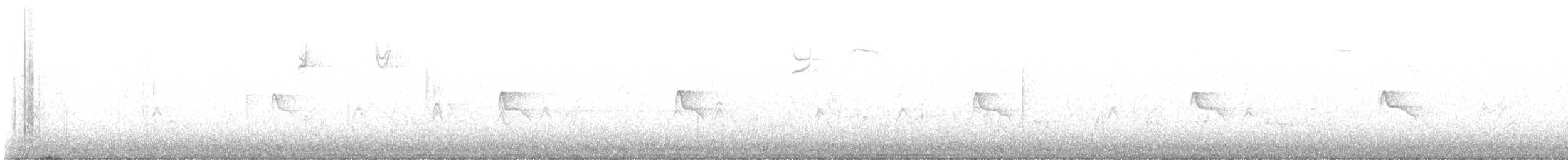 Black Phoebe - ML624476814