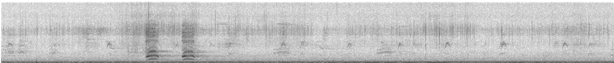 Common Raven - ML624477036