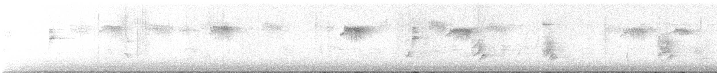 Hermit Thrush - ML624490777