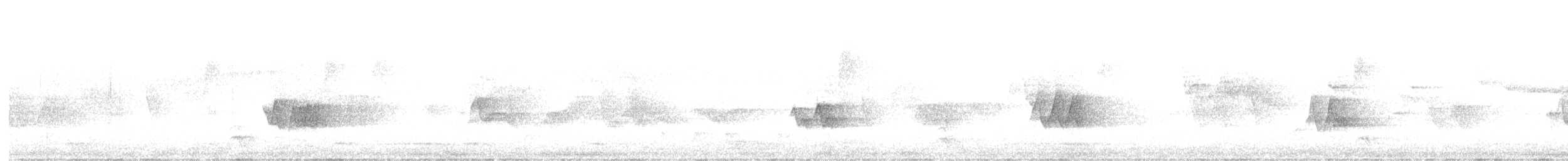 Greenish Schiffornis - ML624499849