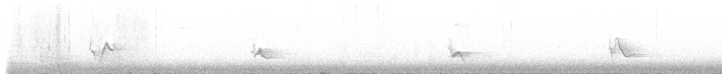 Cassin's Vireo - ML624501170