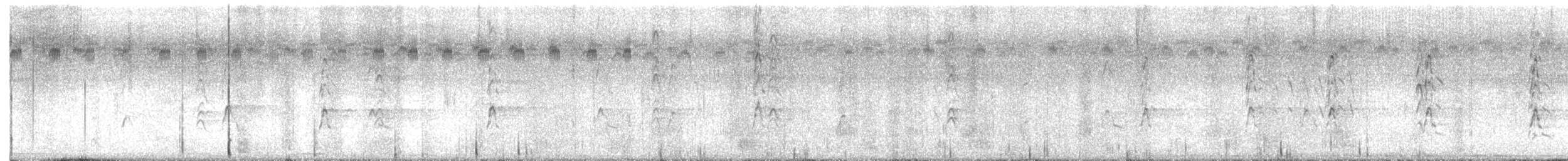 Black-bellied Whistling-Duck - ML624501630