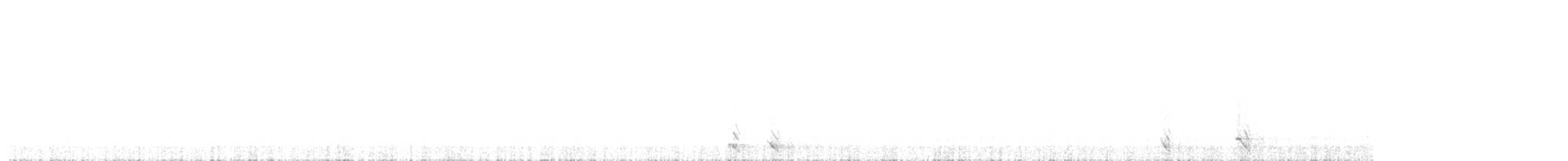 Northern Saw-whet Owl - ML624502268