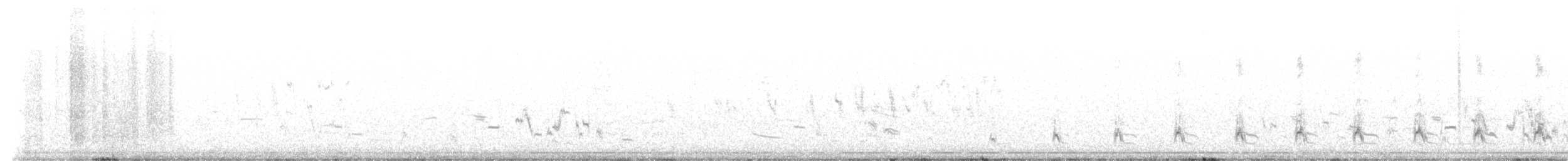 křepel šupinkatý - ML624505073