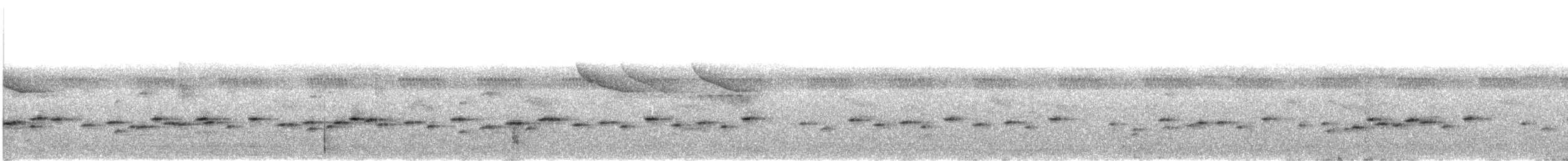 tanımsız Passeriformes sp. - ML624508652