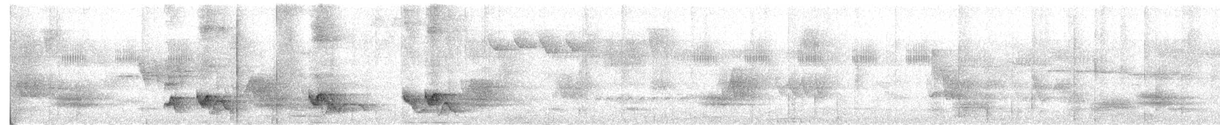 Swallow-tailed Manakin - ML624508823