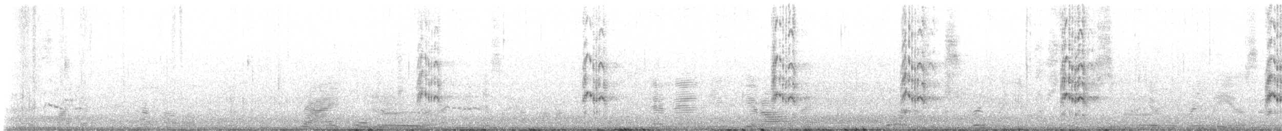 Sandwich Tern - ML624509588
