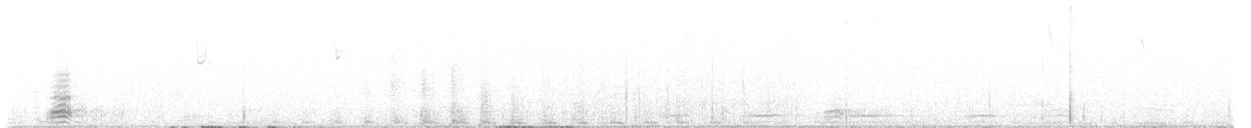 raven sp. - ML624512272