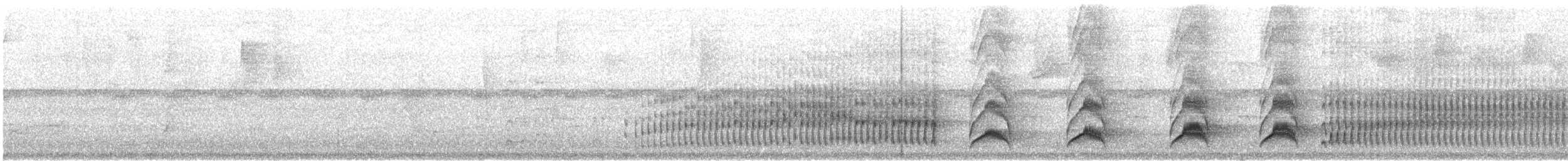 Anabate à sourcils blancs (leucophrus) - ML624519094