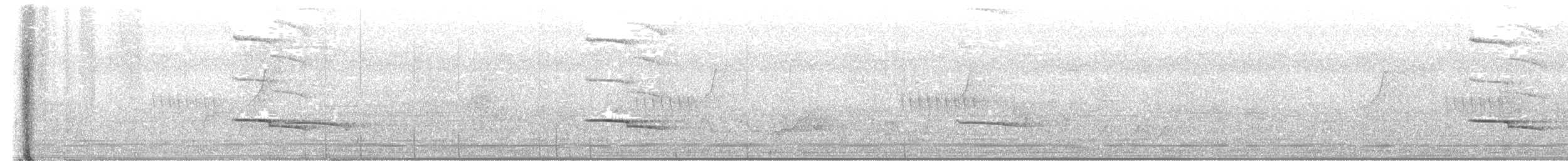 Silver-breasted Broadbill - ML624520730