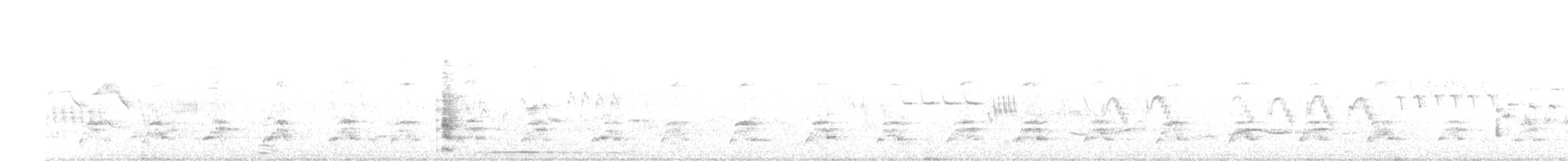 maoridykkand - ML624525169