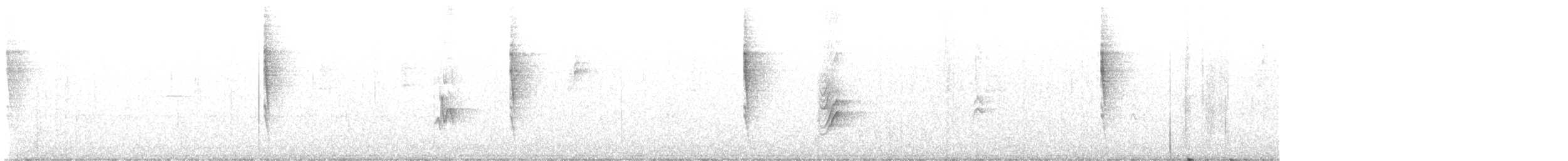 Pacific Wren - ML624527175