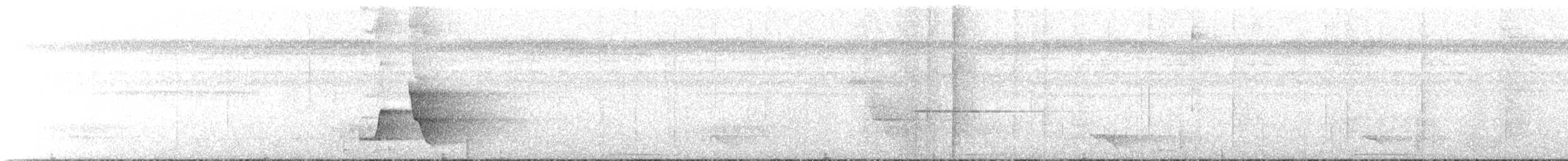 Petroica Flanquinegra - ML624538753