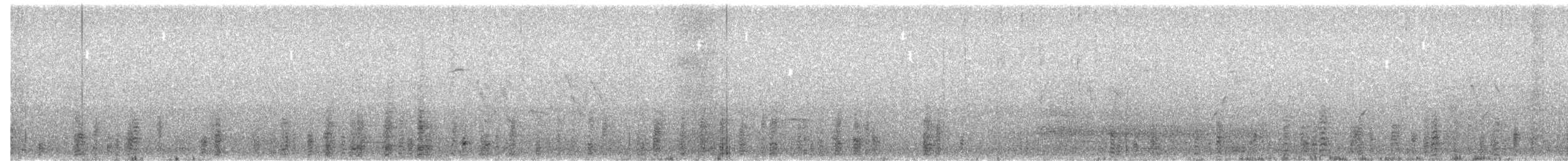 dvergskarv - ML624553165