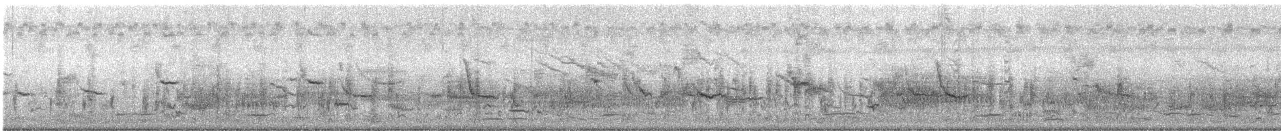 שחרורית אדומת-כנף - ML624565016