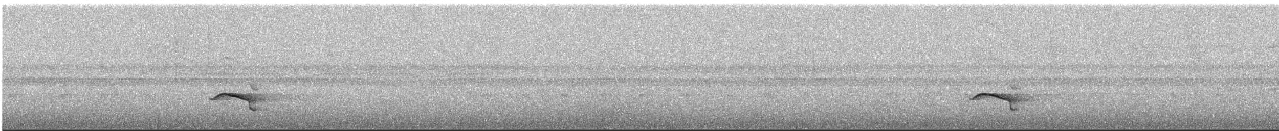 Понгіто бурий - ML624565458