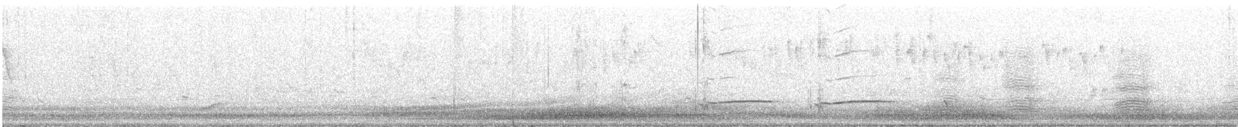 Cockatiel - ML624566122