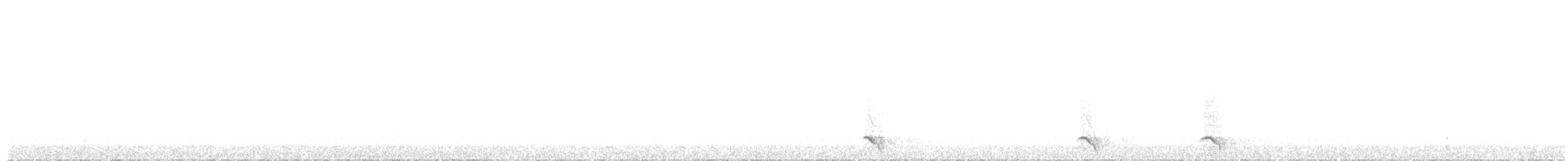 Northern Saw-whet Owl - ML624571848