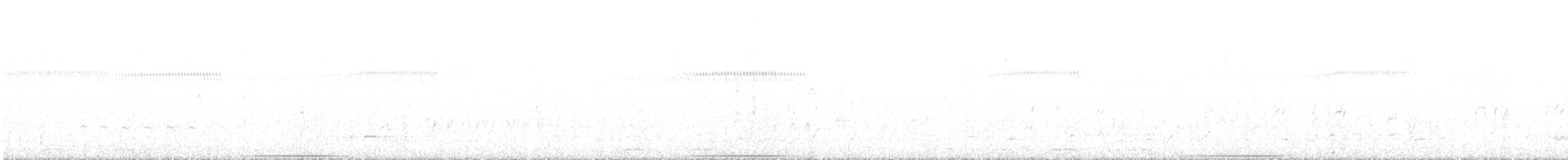 perepel australasijský - ML624572221
