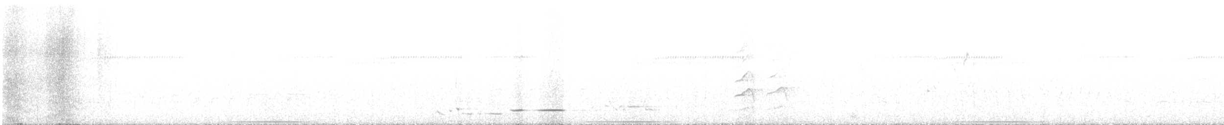 perepel australasijský - ML624572241