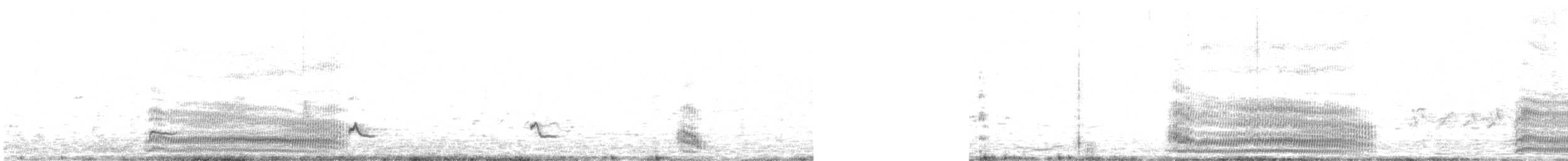 ギンカモメ（novaehollandiae／forsteri） - ML624581187