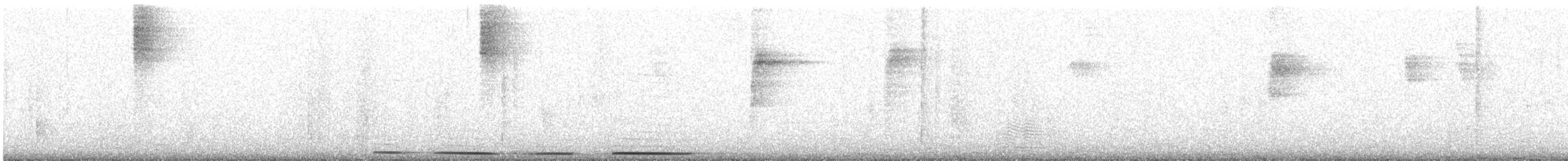 Colombe de Jamaïque - ML624582324