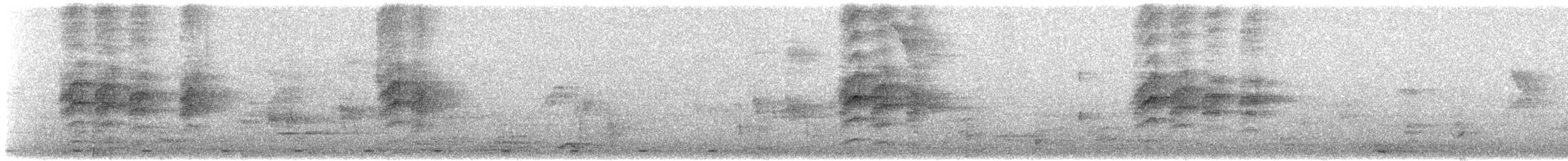 ブライスサンコウチョウ - ML624583160