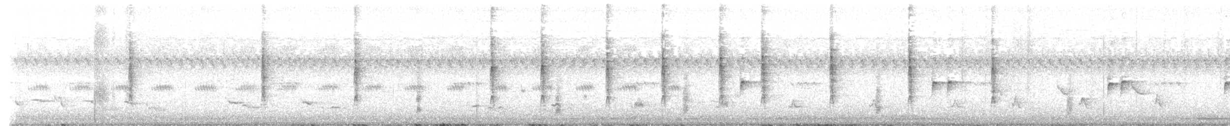 new world warbler sp. - ML624583393