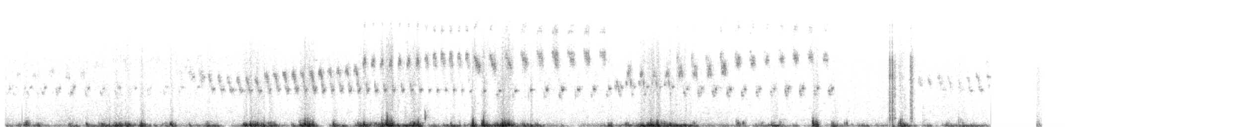 Pampas Pipit - ML624592366
