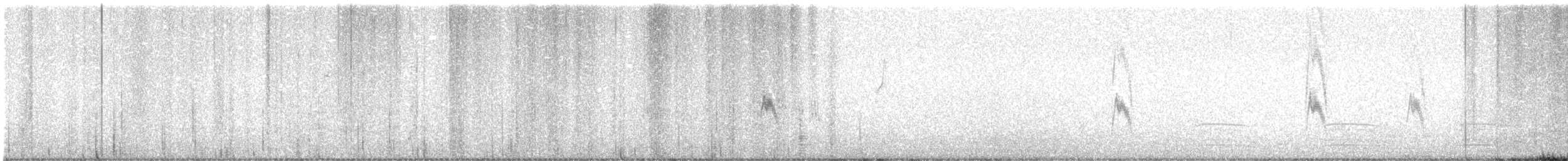 Pipit de Richard - ML624595008