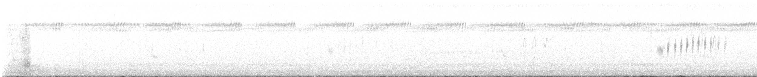 Sprague's Pipit - ML624597234