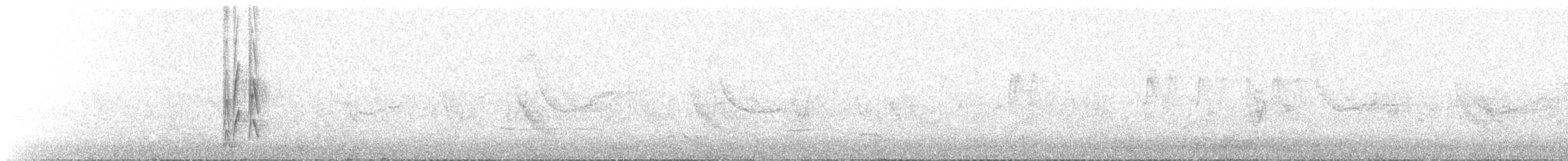 Hirondelle de rochers - ML624598503