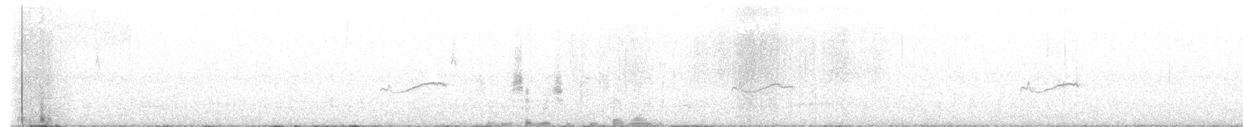 Eastern Wood-Pewee - ML624600700