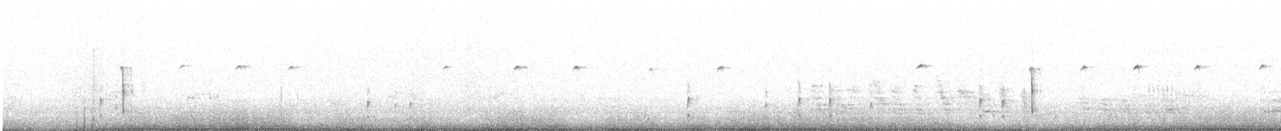 White-browed Ground-Tyrant - ML624621909