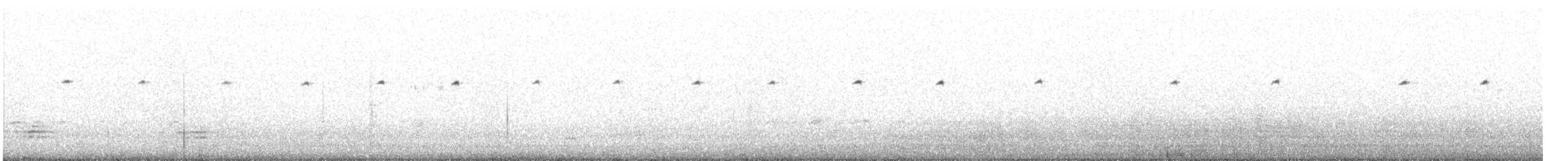 White-browed Ground-Tyrant - ML624621921