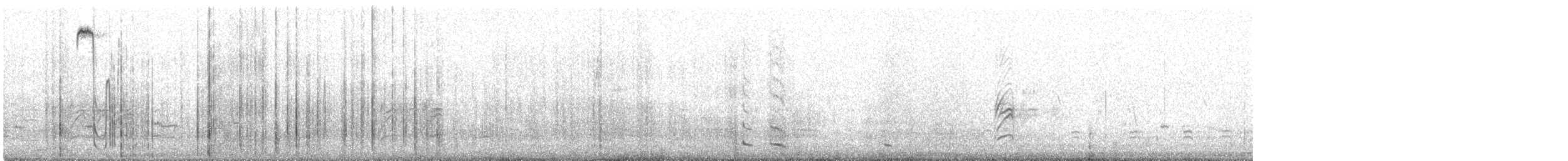 White-browed Ground-Tyrant - ML624621922