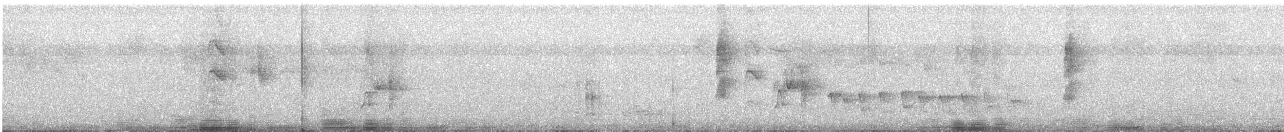 White-bellied Cuckooshrike - ML624629493