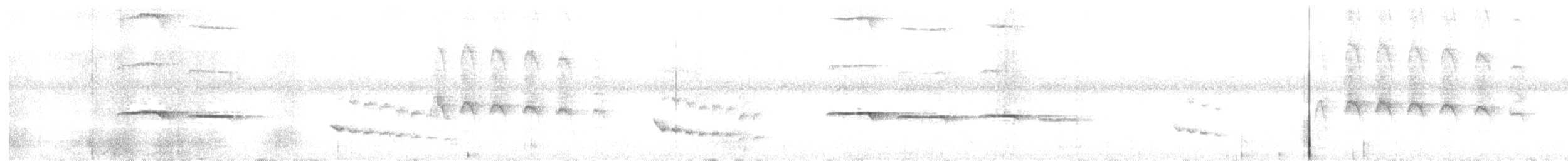 Cordillera Azul Antbird - ML624633933