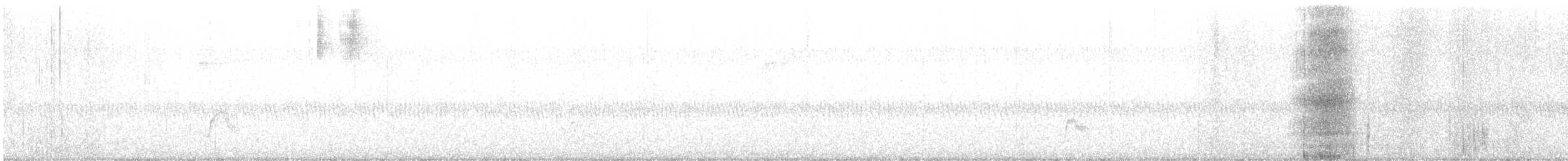 Gray-cheeked Thrush - ML624636819