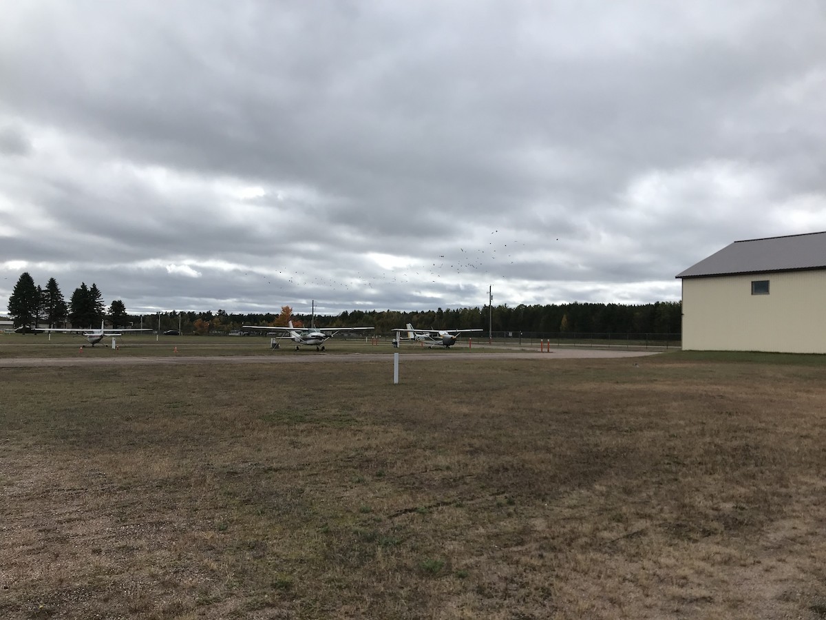 Horned Lark - ML624644038