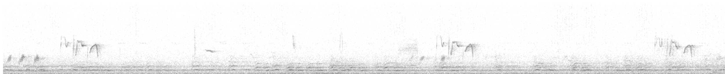 Scrub Warbler - ML624644943