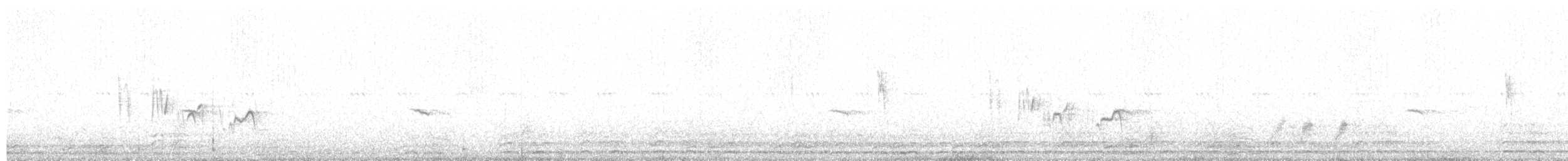 Scrub Warbler - ML624644944