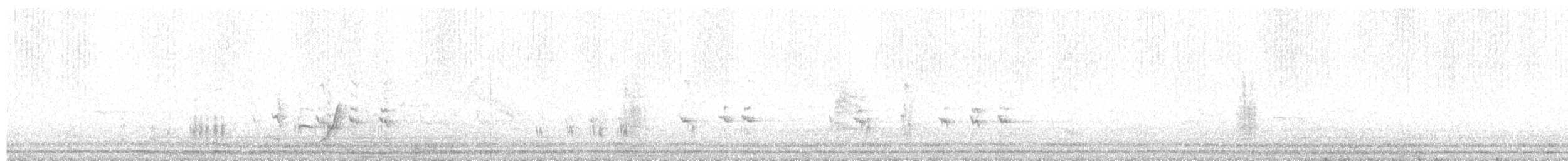Yemen Warbler - ML624644952